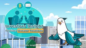 Investors insight